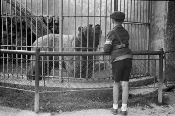 Viaggio in Jugoslavia. Giardino zoologico di Zagabria: la giovane recluta ustascia osserva la gabbia degli orsi.