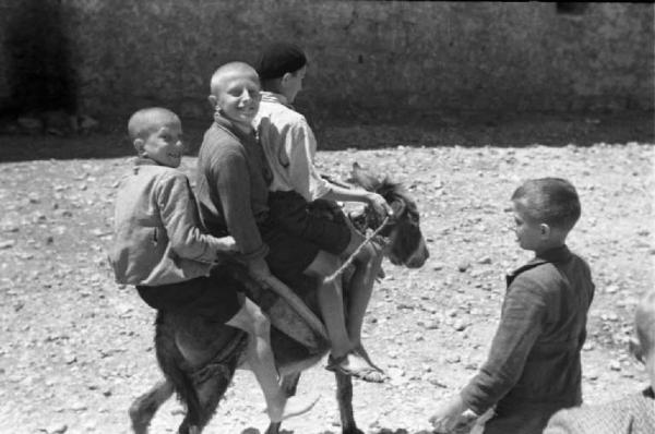 Viaggio in Jugoslavia. Ritratto di gruppo, ragazzini in groppa a un mulo