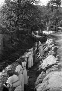 Viaggio in Jugoslavia. Sestine: lavandaie lavano i panni lungo la riva di un fiumiciattolo