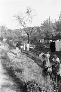 Viaggio in Jugoslavia. Sestine: lavandaie che lavano i panni lungo la riva di un fiumiciattolo
