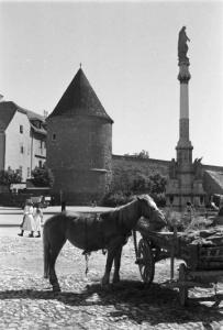Viaggio in Jugoslavia. Zagabria - cavallo da tiro - torre cilindrica - colonna con statua