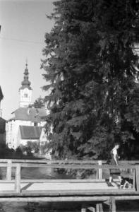 Viaggio in Jugoslavia. Samobar: un ponticello e il campanile della chiesa sullo sfondo