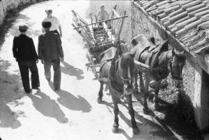 Viaggio in Jugoslavia. Carro trainato da due cavalli