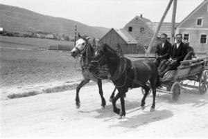 Viaggio in Jugoslavia. Vrhovine. Carro trainato da due cavalli