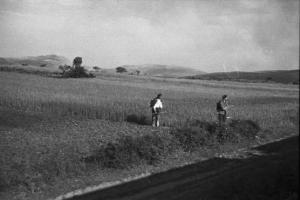 Viaggio in Jugoslavia.  Verso Sebenico: campagna nei pressi di Knin - scorcio del paesaggio dal finestrino del treno con due contadini