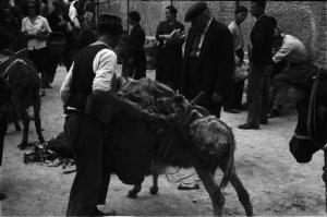 Viaggio in Jugoslavia. Sebenico: contadini con muli al mercato