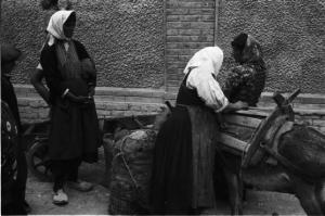 Viaggio in Jugoslavia. Sebenico: gruppo di giovani donne contadine al mercato