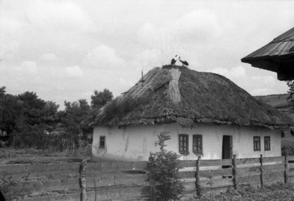 Campagna di Russia. Soroki - abitazione con tetto in paglia - cicogne