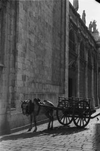 Viaggio in Jugoslavia. Dubrovnik (Ragusa): carro con cavallo parcheggiato nel centro storico