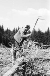 Internamento in Svizzera. Reiden - Soldato al lavoro durante il disboscamento della foresta