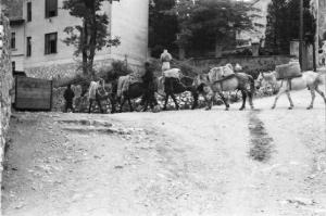 Viaggio in Jugoslavia. Mostar: scene di vita quotidiana - coppia di uomini con cavalli da soma lungo le strade del paese