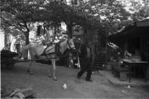 Viaggio in Jugoslavia. Mostar: scene di vita quotidiana - un uomo con un carro trainato da un cavallo percorre una strada del paese