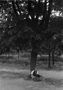 Viaggio in Jugoslavia. Yaitze: un uomo si riposa seduto ai piedi di un grande albero