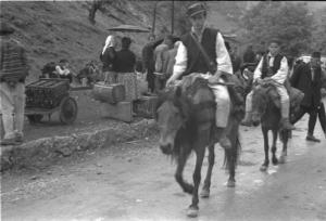 Viaggio in Jugoslavia. Yaitze: carovana di pastori a dorso di mulo in direzione della stazione ferroviaria