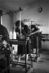 Produzione di maglieria d'angora - filatura della lana - operaie