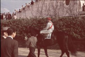 Roma. Ippodromo delle Capannelle. Fantino guida il cavallo in pista