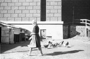 Roma - Cortile sul retro di un'abitazione nei pressi del quartiere Eur - una donna si occupa delle galline