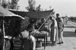 Italia Dopoguerra. Viaggio da Milano a Savona - Banchetto di frutta ubicato lungo il tagitto