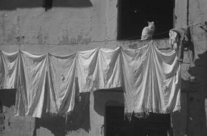 Castel Gandolfo. Panni stesi alla finestra - gatto sul davanzale