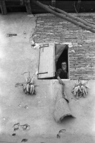 Italia Dopoguerra. Marzabotto - Donna scuote una stuoia dalla finestra - Ai lati delle imposte ortaggi appesi