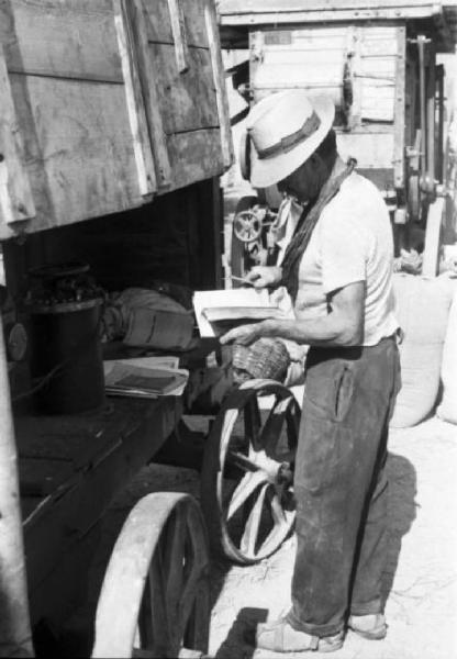 Inzago. Trebbiatura. Un contadino legge in piedi da un libro - attorno i carri per il trasporto delle gerbe da trebbiatura