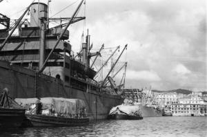 Italia Dopoguerra. Genova - Bacino San Giorgio - Fase di scaricamento del cotone dalla nave Norwich Victory