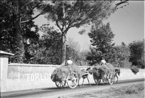 Invasione delle terre. Muro di cinta con scritta di protesta contro i Torlonia. In primo piano due carretti con cavallo