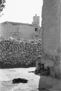 Italia Dopoguerra. Terracina. Tre bambini e un cane seduti per terra