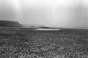 Normandia. Le spiaggie teatro dello sbarco alleato con la bassa marea