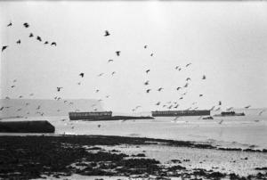 Normandia. Le spiaggie teatro dello sbarco alleato con la bassa marea. Resti delle fortificazioni tedesche