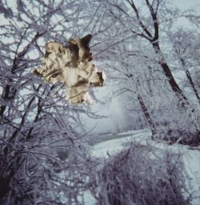 Klaustrofobia. Ritratto maschile - autoritratto dell'artista "Foglia" su fondale "Inverno"