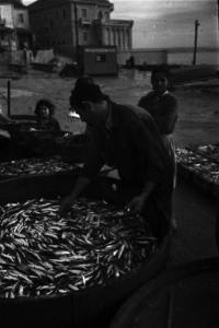 Cascais. Pescatore chino su un catino colmo di pesce appena pescato
