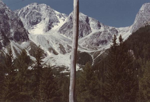 Alpi italiane. Veduta di un ghiacciaio con un palo di legno in primo piano