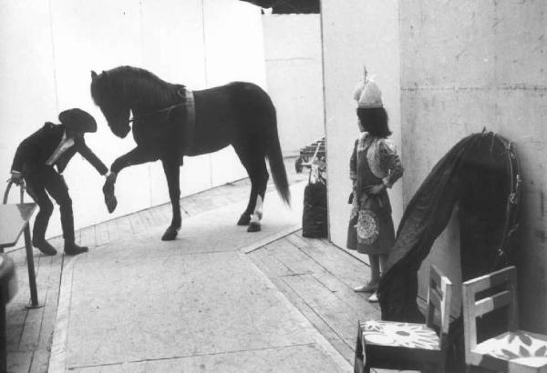 Bruxelles. Scuola di equitazione - cavallo e cavaliere