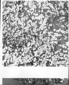 Roccia con incrostazioni di licheni