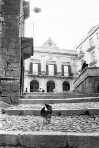 Itinerario Garibaldino. Salemi - Piazza Dittatura - Palazzo del Comune - Scalinata con gallo