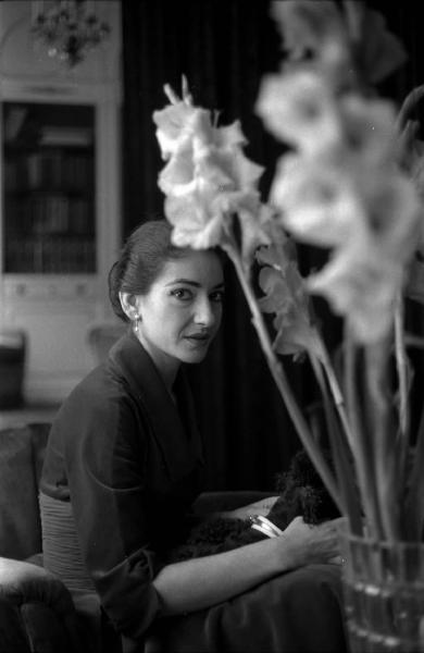 Milano - Abitazione di Maria Callas: interno - Tavolino con vaso di fiori - Ritratto femminile: Maria Callas (cantante lirica) seduta su una poltrona - Cane barboncino