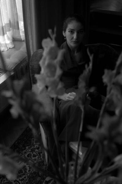 Milano - Abitazione di Maria Callas: interno - Finestra - Tavolino con vaso di fiori - Ritratto femminile: Maria Callas (cantante lirica) seduta su una poltrona - Cane barboncino