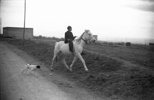 Tarquinia - Strada di campagna - Ritratto maschile: agazzo a cavallo - Cane