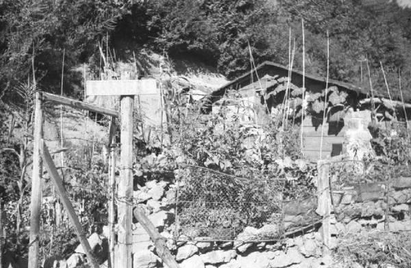 Italia Dopoguerra: Valmontone bombardata. Valmontone - Baracca con orto - Cartello in legno con scritta "barbiere"