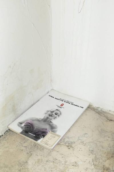 Check in': Wood's House. Torino - Abitazione: interno - Libro "Una notte con Marilyn" su pavimento