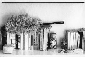 Una, nessuna, centomila. Gli oggetti della pulizia. Milano - Abitazione, interno - Mensola con libri, conchiglie - Piumino cattura polvere - Pulizie