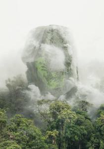 Karma Fails. Meditation Rocks®. Ecosistema - Terra - Foresta tropicale, alberi - Cristalli energetici - Meditazione zen - Inquinamento - Tutela dell'ambiente - Critica del presente