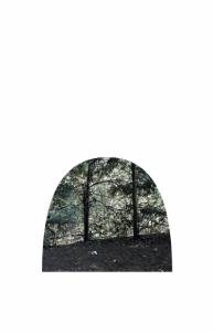 Tra cielo e terra. Cabiate, Parco della Brughiera Briantea - Veduta dall'edicola dedicata a San Francesco: bosco, sottobosco con cartaccia, siepe