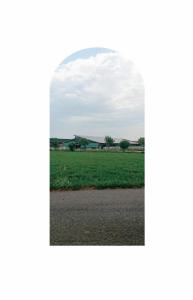 Tra cielo e terra. Stagno Lombardo, vicino via Chiaviche - Veduta dalla cappella di campagna: stradina asfaltata, prato, alberi e capannone sullo sfondo