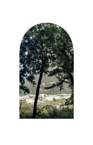 Tra cielo e terra. Breno - Veduta dall'edicola dedicata alla Madonna: albero in ombra in primo piano, bosco, fondovalle con capannoni ed edifici, montagna 







,