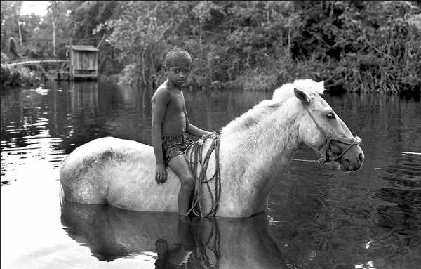 Reportage. Brasile, Rio delle Amazzoni, nei pressi di Santarém - Ritratto infantile: bambino a cavallo nel fiume - Foresta