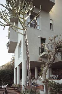 Atlante. Cefalù - Casa Salem (architetti Pasquale Culotta, Giuseppe Leone, 1972-1973) - Dettaglio esterno edificio: finestre, balconi, terrazzo - Alberi