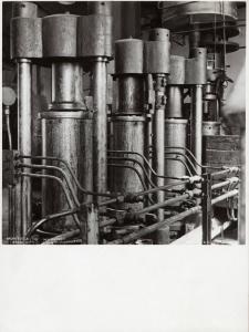 Castelfiorentino - Stabilimento superfosfato - Impianto di estrazione olii - Torchi