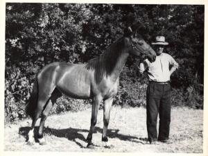Boccheggiano - Azienda agricola - Agricoltore con un cavallo